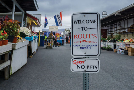1765-Manhiem-Roots-Market-p