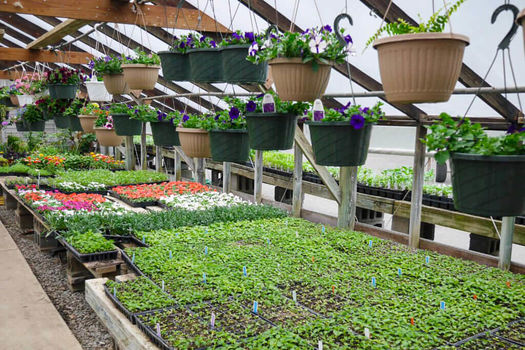 4.25.23-Funks-Riverview-Greenhouse-Gallery-1-2