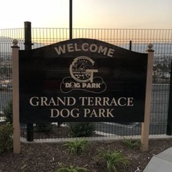 dog park