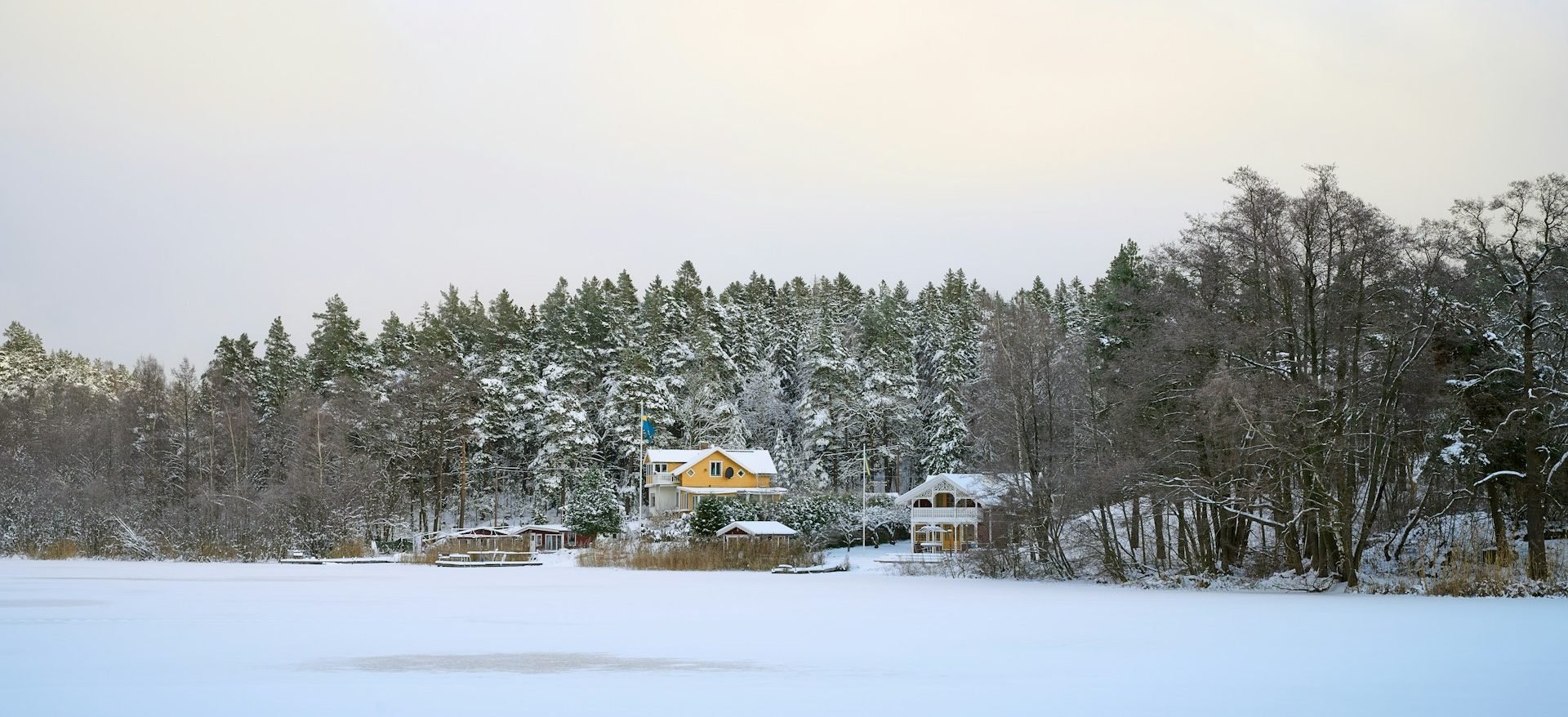 hanlin-sun-ouodcBGmilk-unsplash (1)