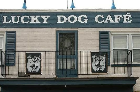 luckydog