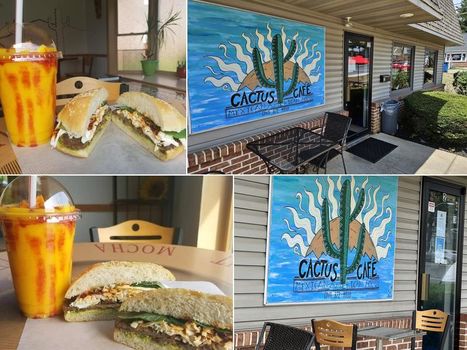 m_cactus_cafe_photo