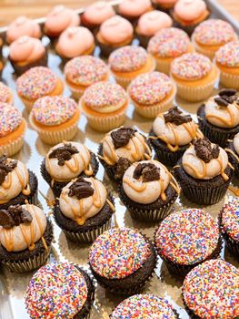 Lancaster Cupcake