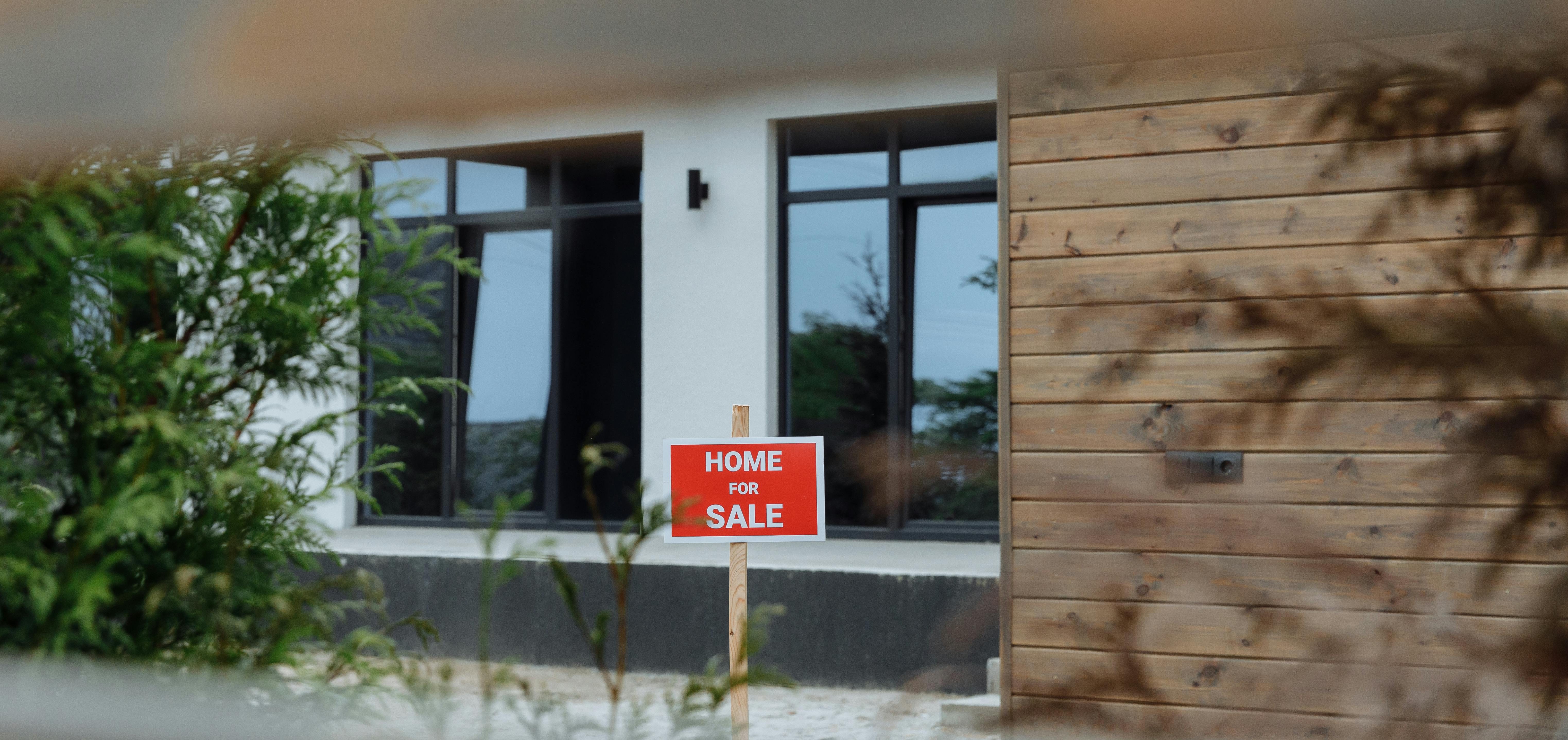 pexels-thirdman-8482520