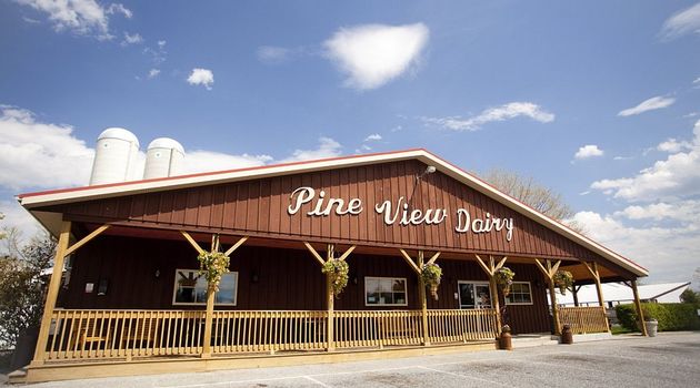 pine
