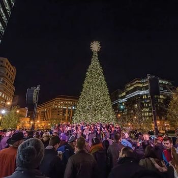 tree-lighting