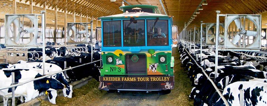 trolley-tour-1024x409