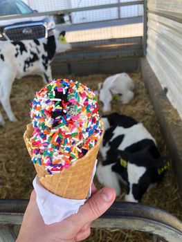 Pine View Dairy