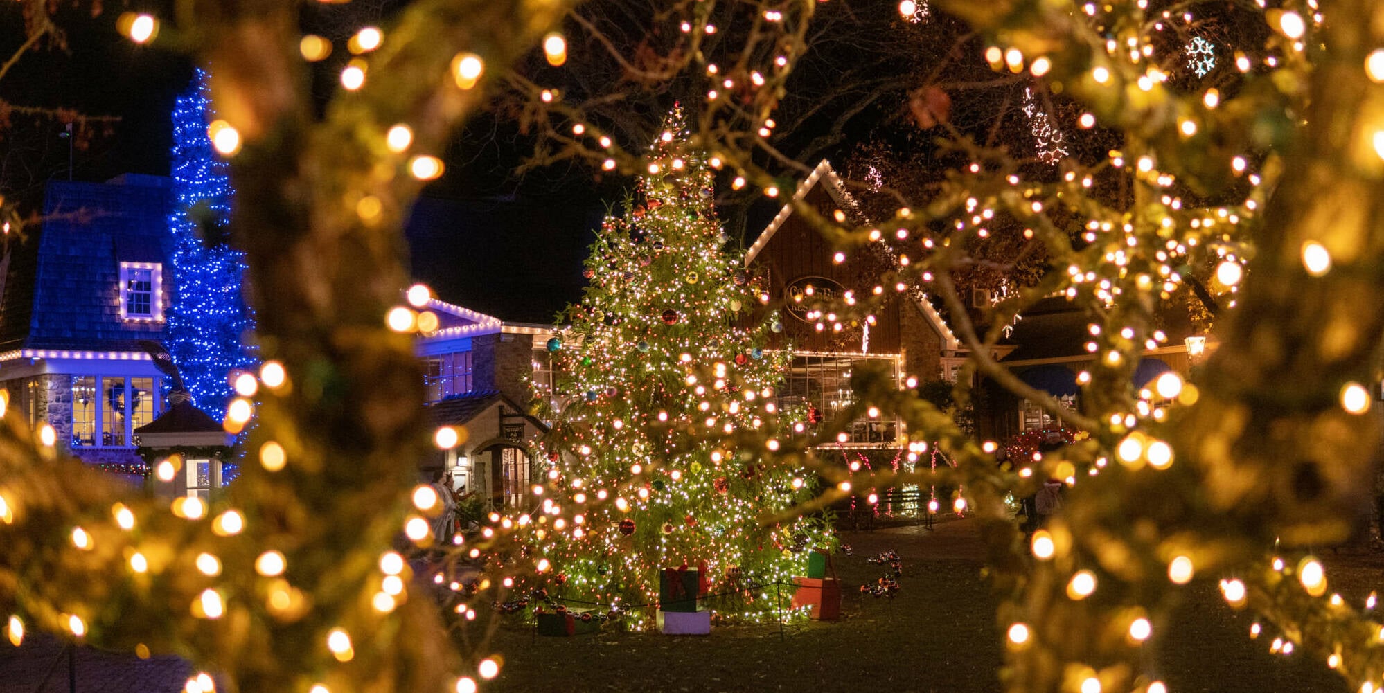 PVP01952-5-scaled-e1698161402514