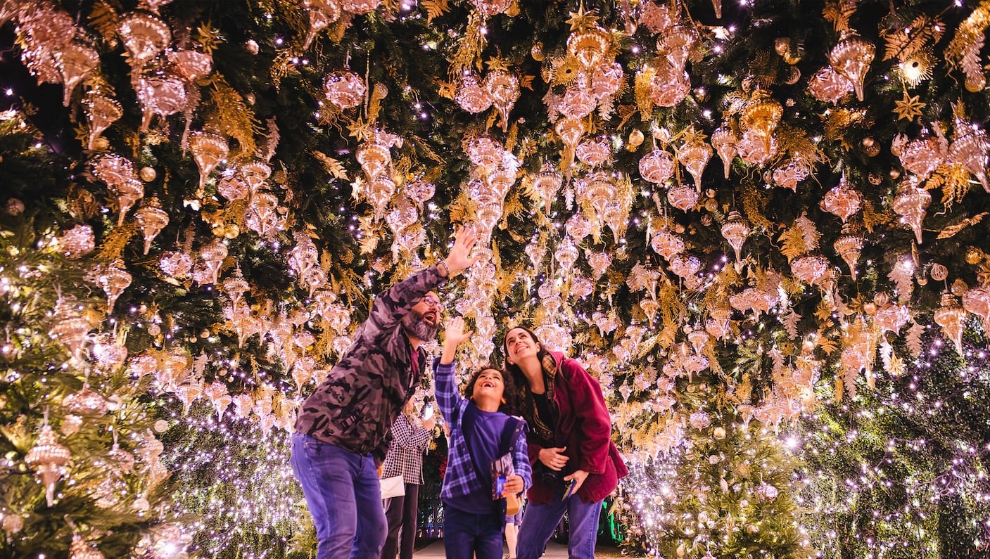 Sparkling+Splendor+Family.ong