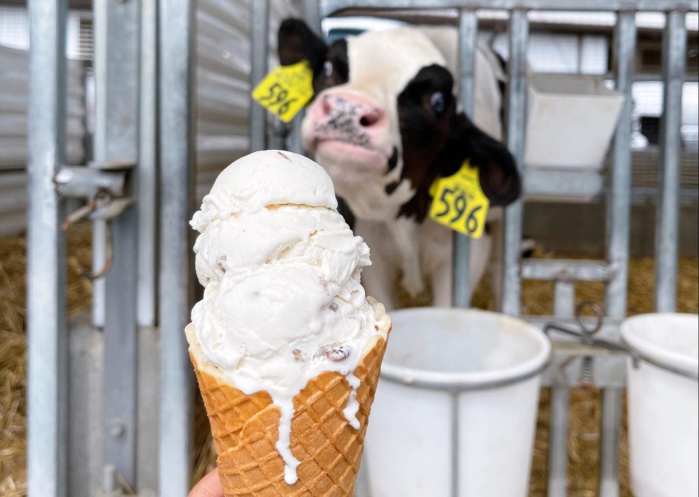 480980371_1019762703531883_4369583256697935988_n