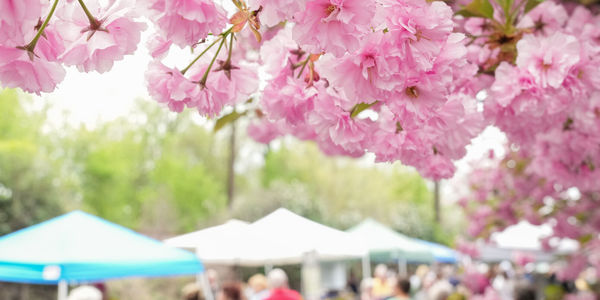 Spring Festivals and Events in Lancaster County, PA &hellip;