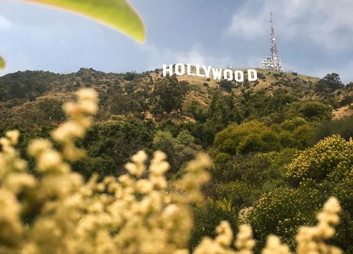 pexels-tracehudson-2626916