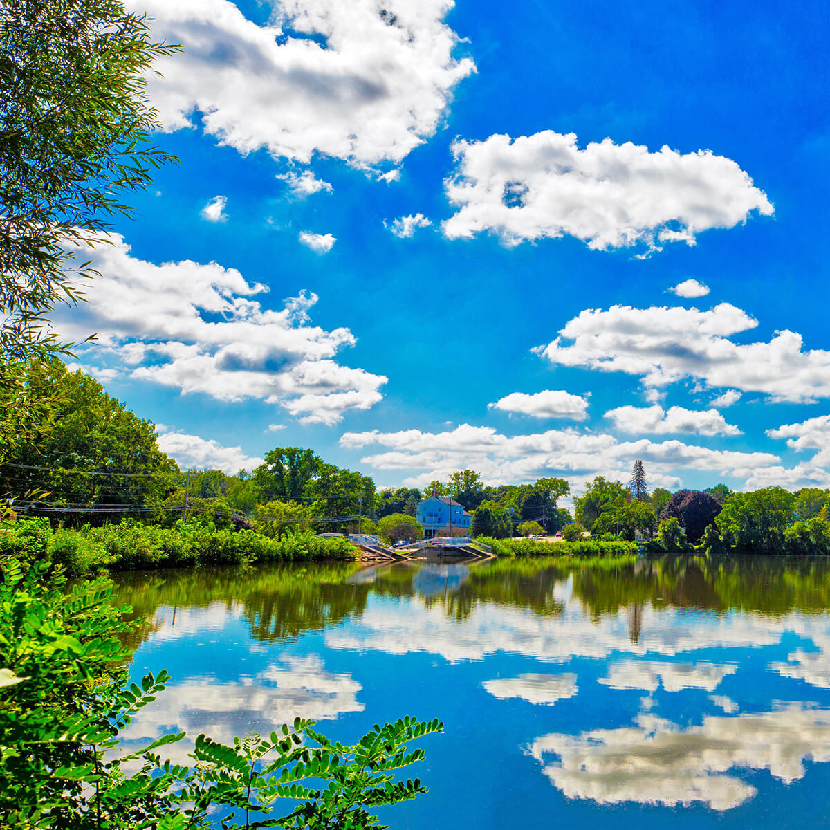 Saline-MI-Homes-For-Sale