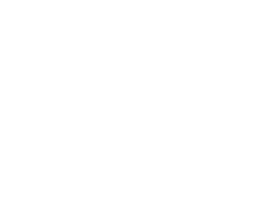 Nelson Real Estate Group main logo a3