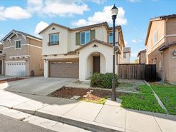 03-FlutterShot Media-3