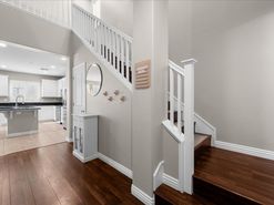 04-FlutterShot Media-4