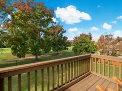 25-FlutterShot Media-25