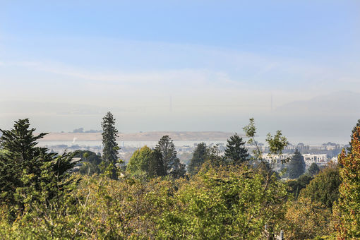 934 Arlington Ave 75