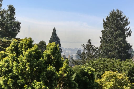 934 Arlington Ave 76