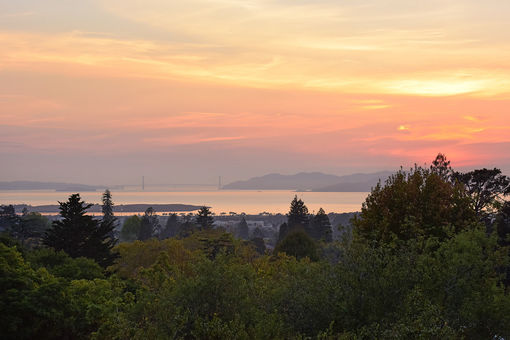 934 Arlington Ave Twilights_18