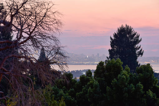 934 Arlington Ave Twilights_22