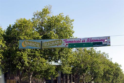 MLS 840 54th Street Oakland043