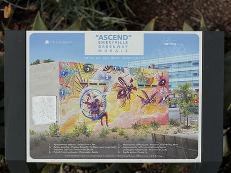 MLS Neighborhood Emeryville015