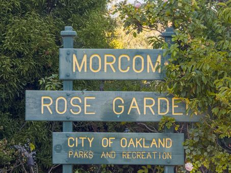 MLS Oakland Lake Merritt Lakeshore024