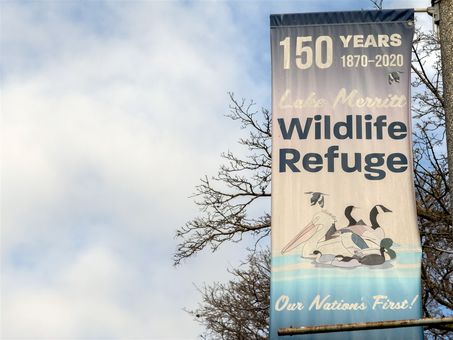 MLS Oakland Lake Merritt Lakeshore027