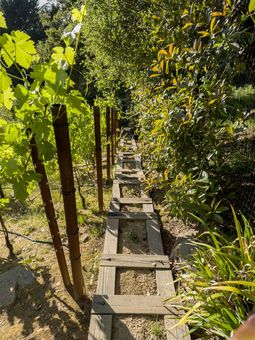 MLS 6741 Snake Rd Oakland064