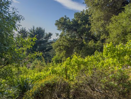 MLS 6741 Snake Rd Oakland071