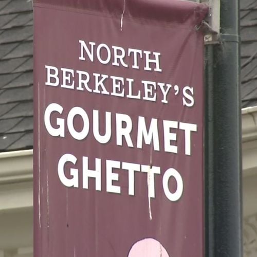 10 Must-Visit Attractions in Berkeley, CA for Both Locals and Tourists