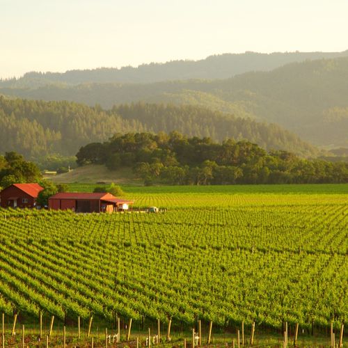8 Day Trips From Berkeley, CA