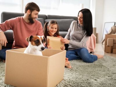 Moving with Pets: A Practical Guide for East Bay Renters and&hellip;