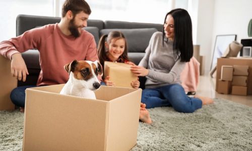 Moving with Pets: A Practical Guide for East Bay Renters and Buyers
