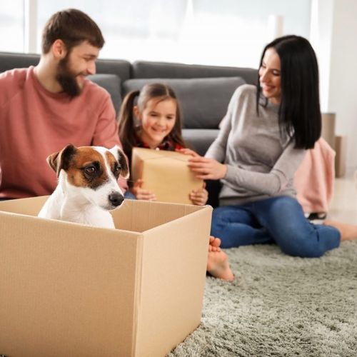 Moving with Pets: A Practical Guide for East Bay Renters and Buyers