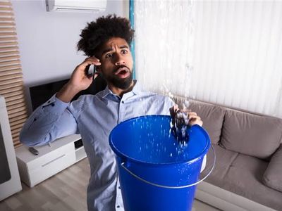 Habitability Standards: What East Bay Landlords Are Legally …