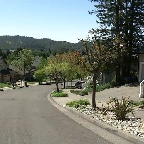 Understanding Natural Hazard Disclosure (NHD) Reports in California Home Sales