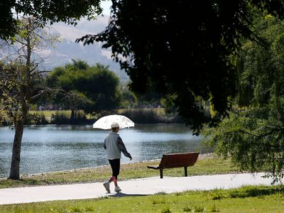 Walk Score & Walkability: How It Affects East Bay Home Value…