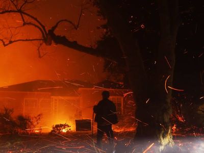 Wildfire Risk & Insurance in the Berkeley and Oakland Hills:…