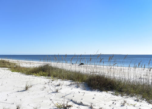 website, Mexico beach- beach photo (1)