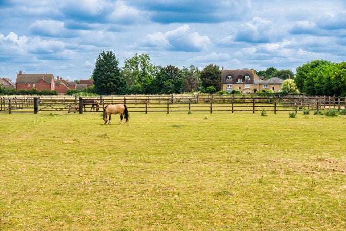 EQUESTRIAN PROPERTIES