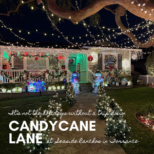 CandyCane Lane