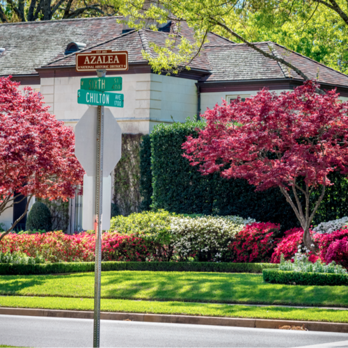 Tyler Azalea Trails 2025