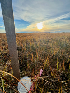 212610309182024124558Main