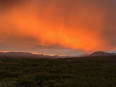 IMG_3111