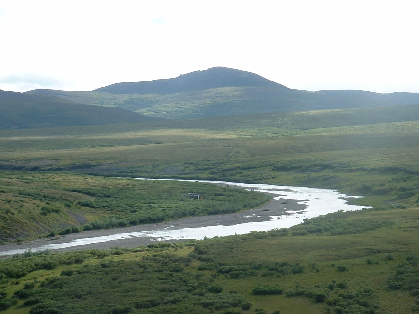 10357746_942829815836049_2078172494638698297_o