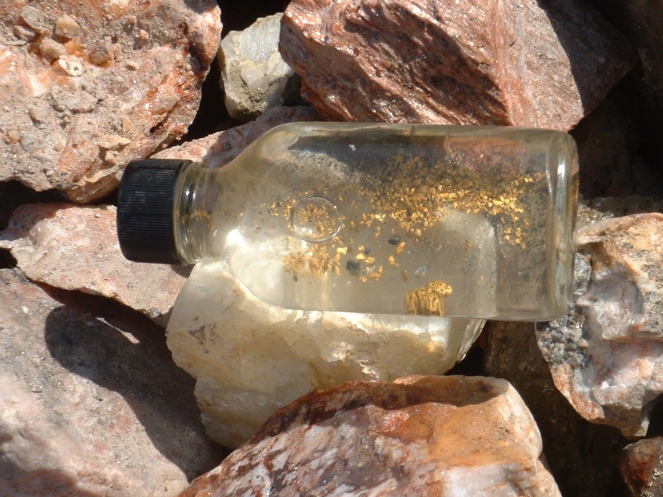 12322671_942833519169012_5876814365078196189_o