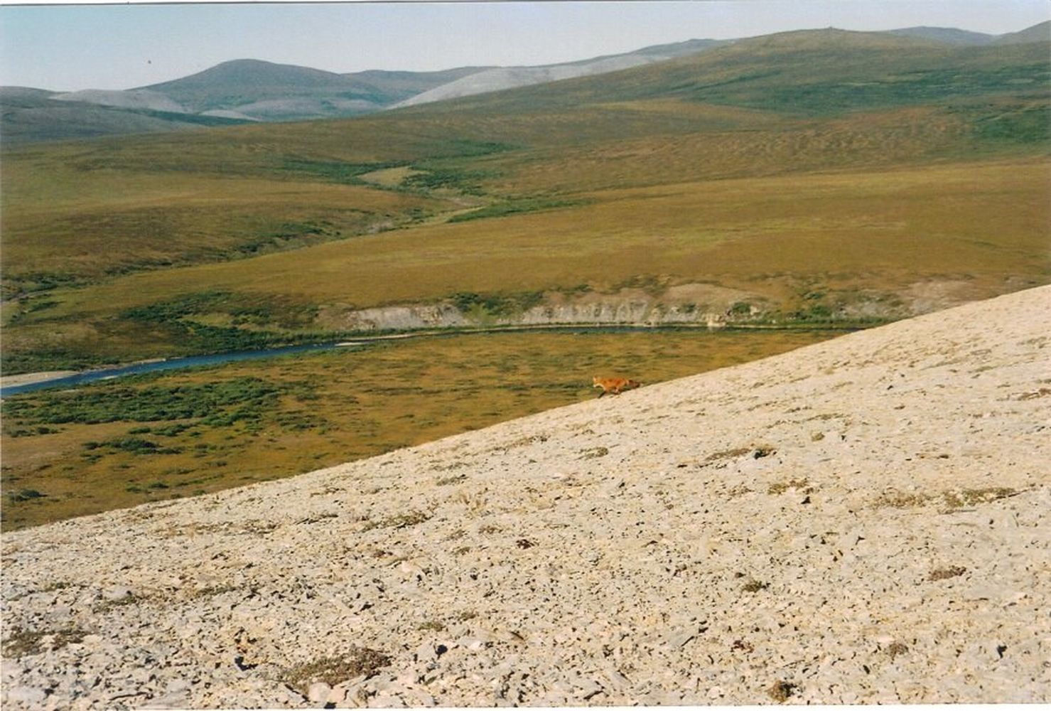 12592278_942948459157518_1877423792801095035_n